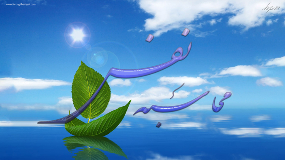 ثمرات محاسبه‌ی نفس